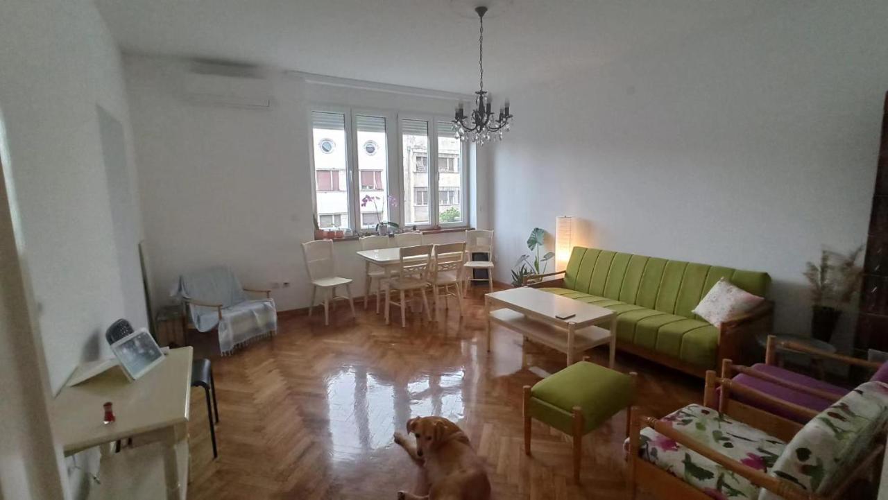 Apartment Hermes Beograd Eksteriør billede